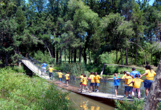 Swinging Bridge