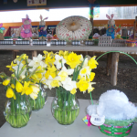 Spring Farm Market
