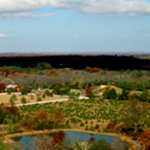 Farm Bird Eye View