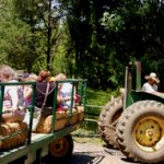 Hayrides