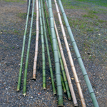 Market Bamboo