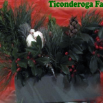 Pine Cones 150x150 Winter Festival