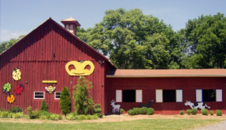 Ticonderoga-Farms.jpg