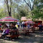 Picnic Park