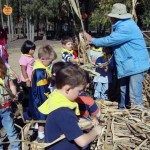 Boy Scouts
