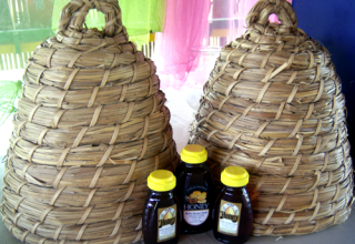 Award Winning Ticonderoga Honey