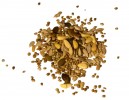 garden-seeds